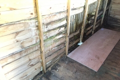 Repair of rotted shed wall, before