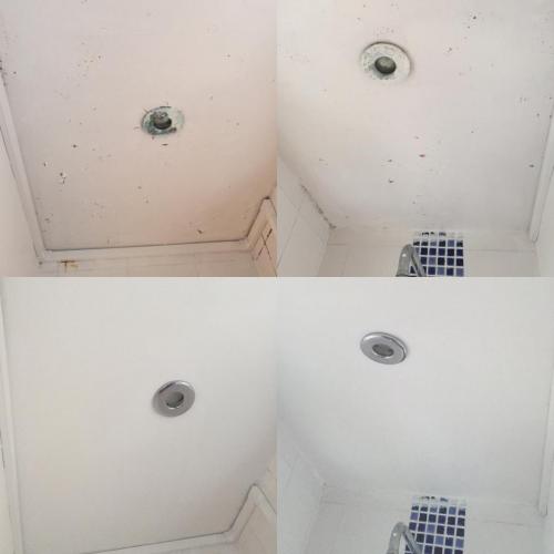 Ceiling and shower lights